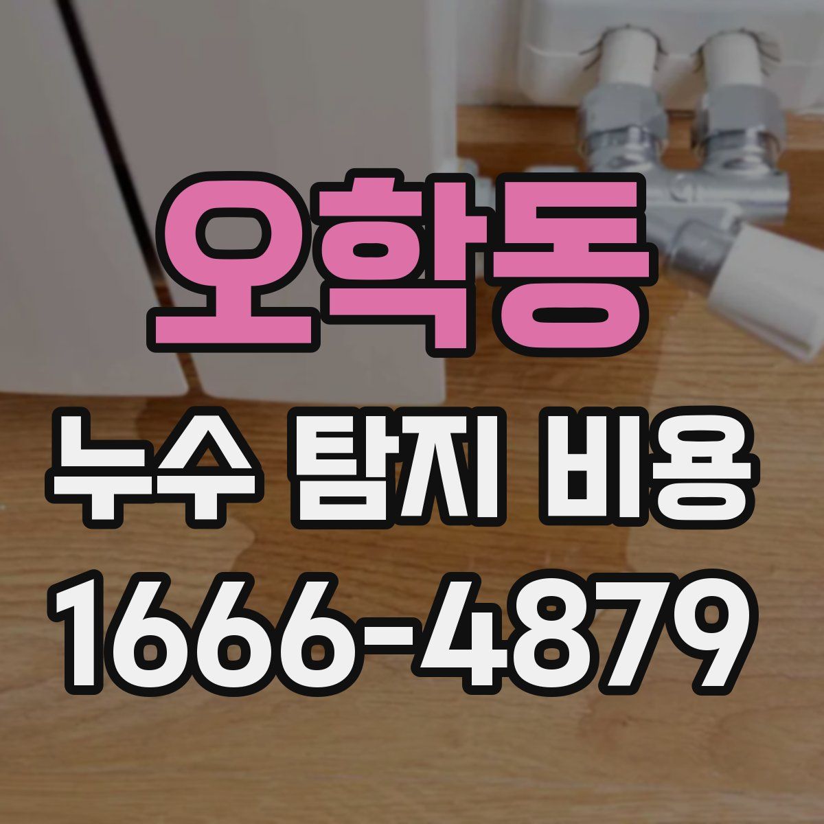 오학동 누수 탐지 비용