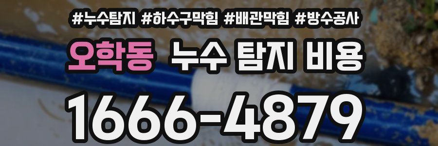 오학동 누수 탐지 비용