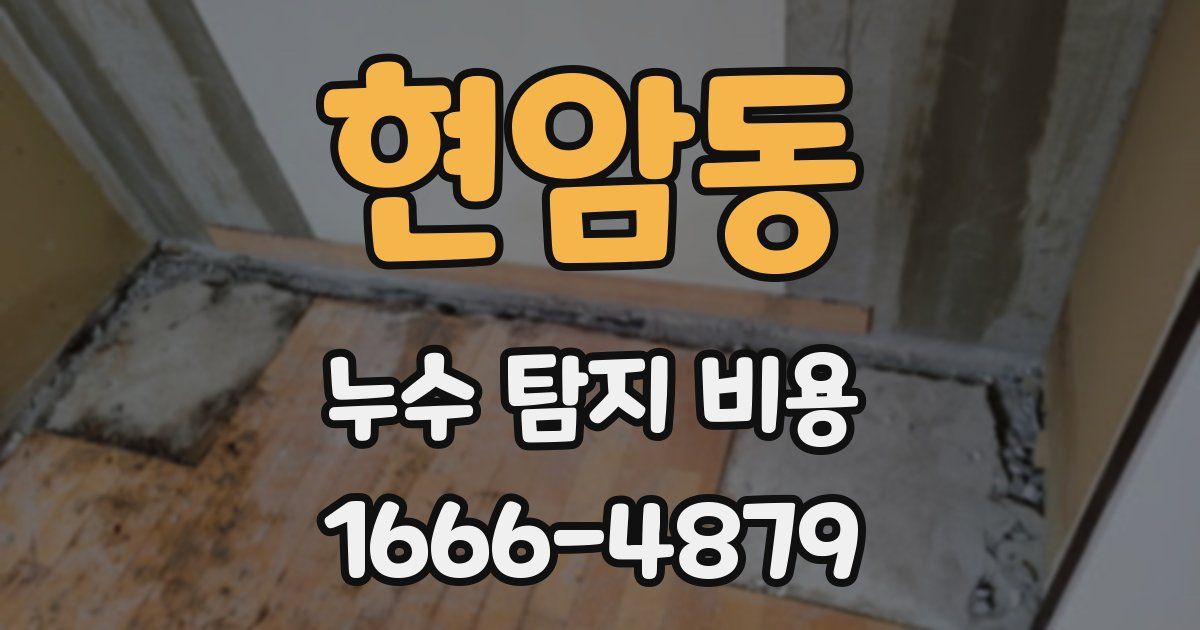 현암동 누수 탐지 비용