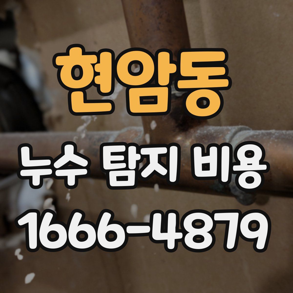 현암동 누수 탐지 비용