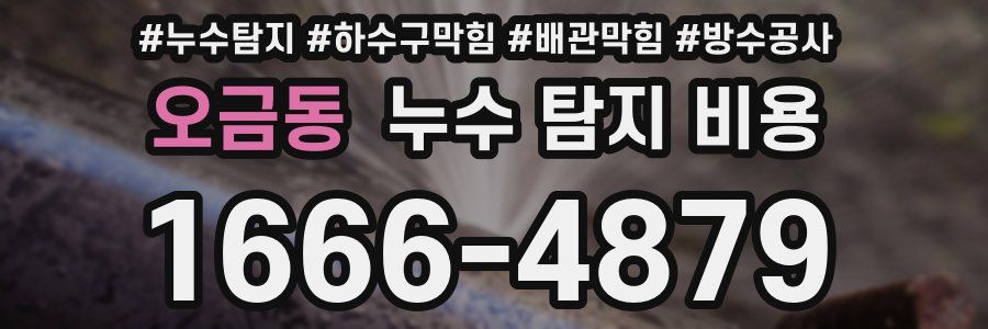 오금동 누수 탐지 비용