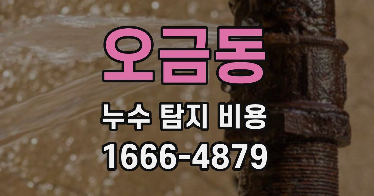 오금동 누수 탐지 비용