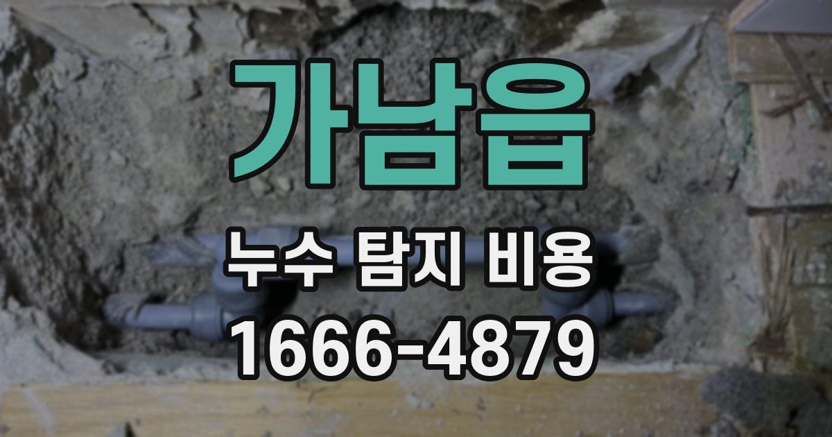 가남읍 누수 탐지 비용
