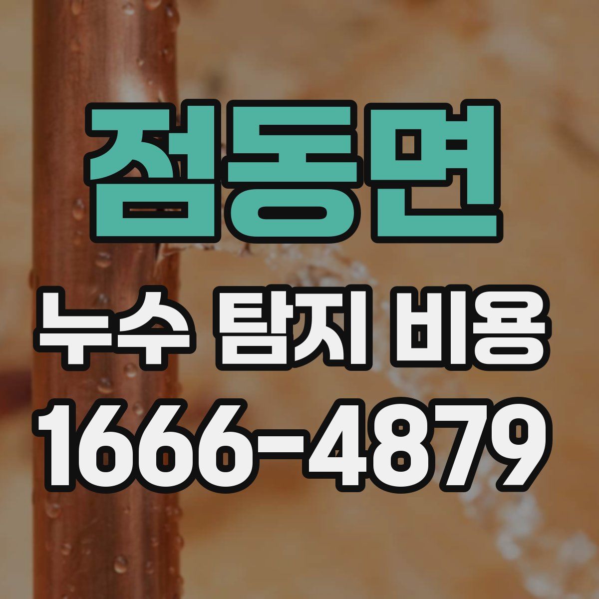 점동면 누수 탐지 비용