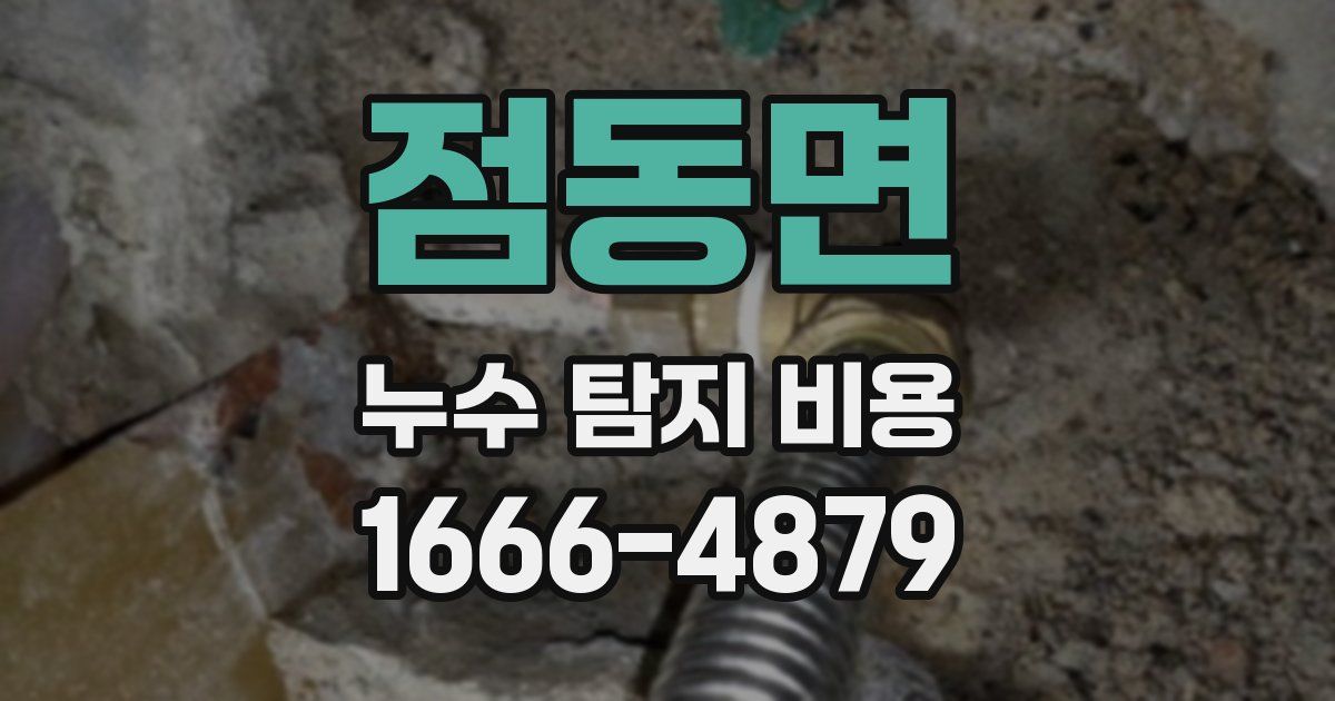 점동면 누수 탐지 비용