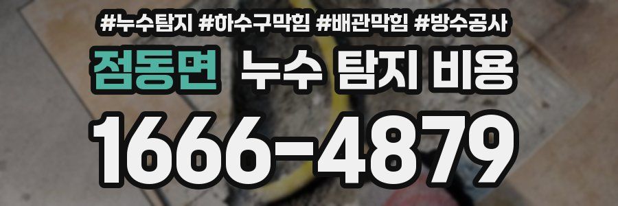 점동면 누수 탐지 비용