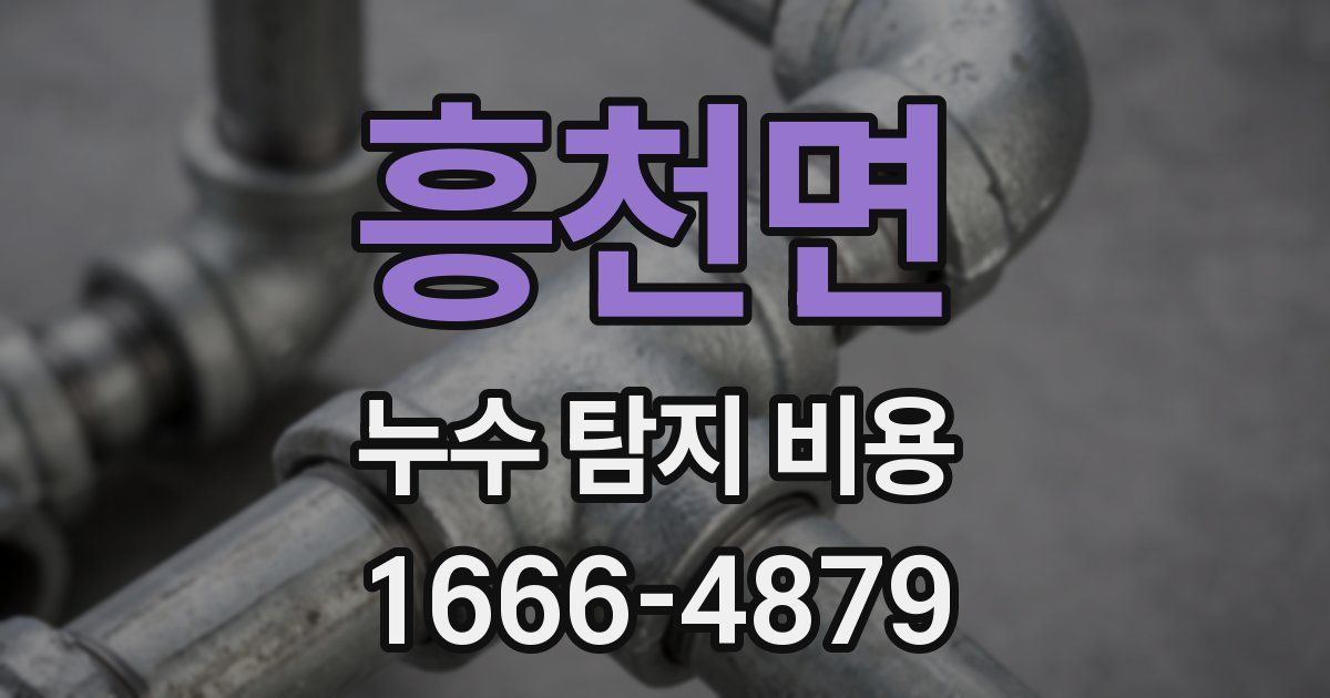흥천면 누수 탐지 비용
