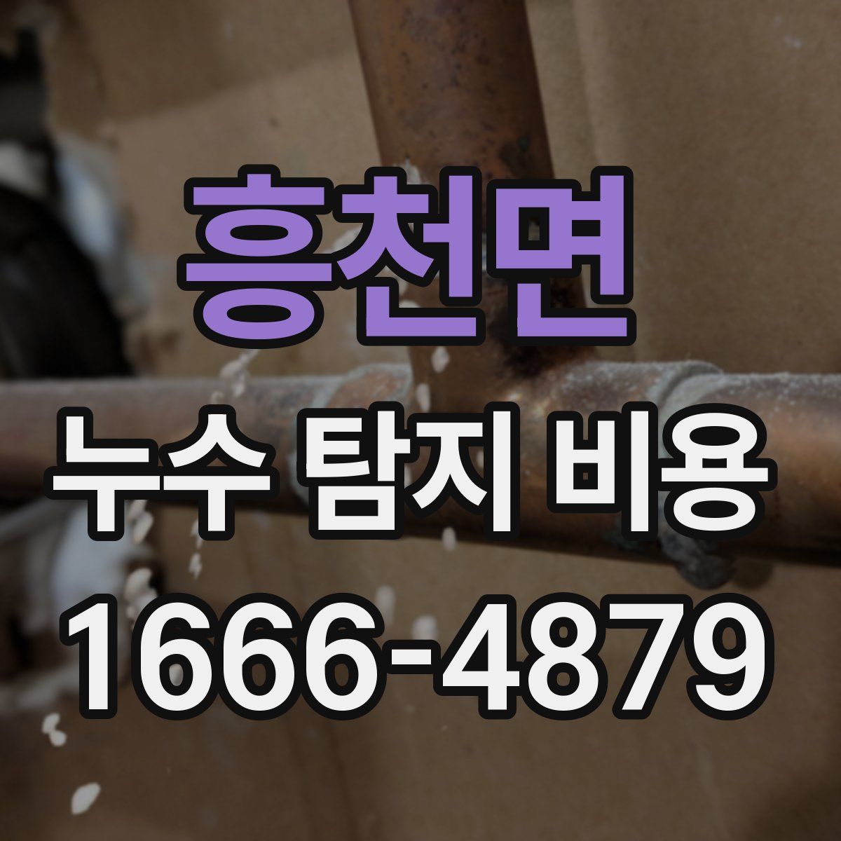 흥천면 누수 탐지 비용