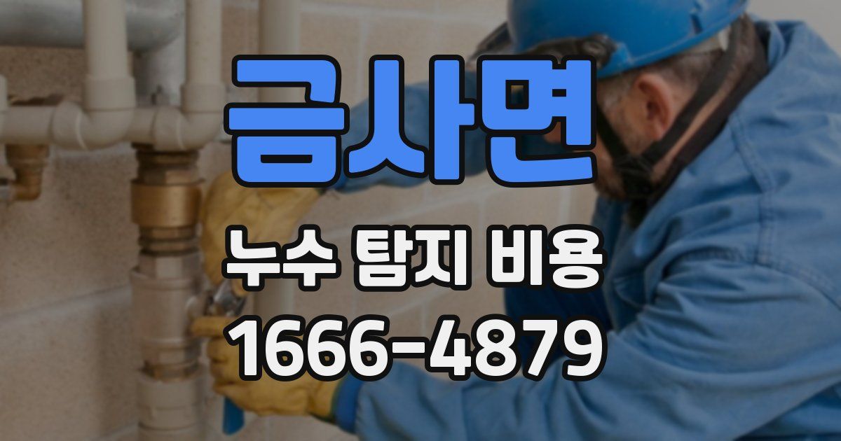 금사면 누수 탐지 비용