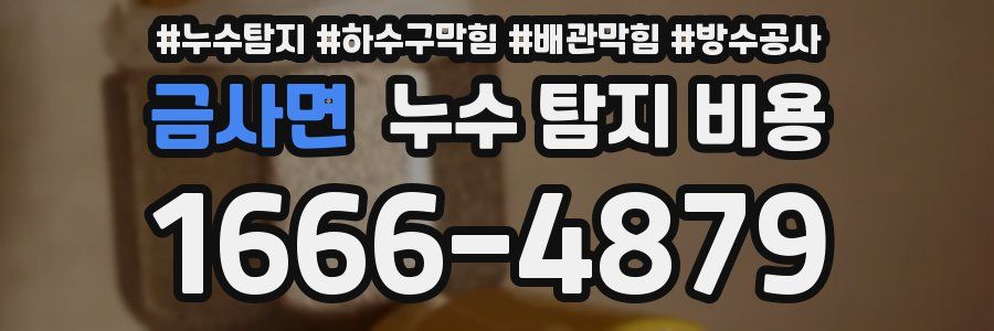 금사면 누수 탐지 비용