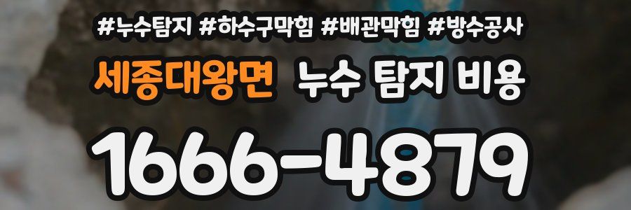 세종대왕면 누수 탐지 비용