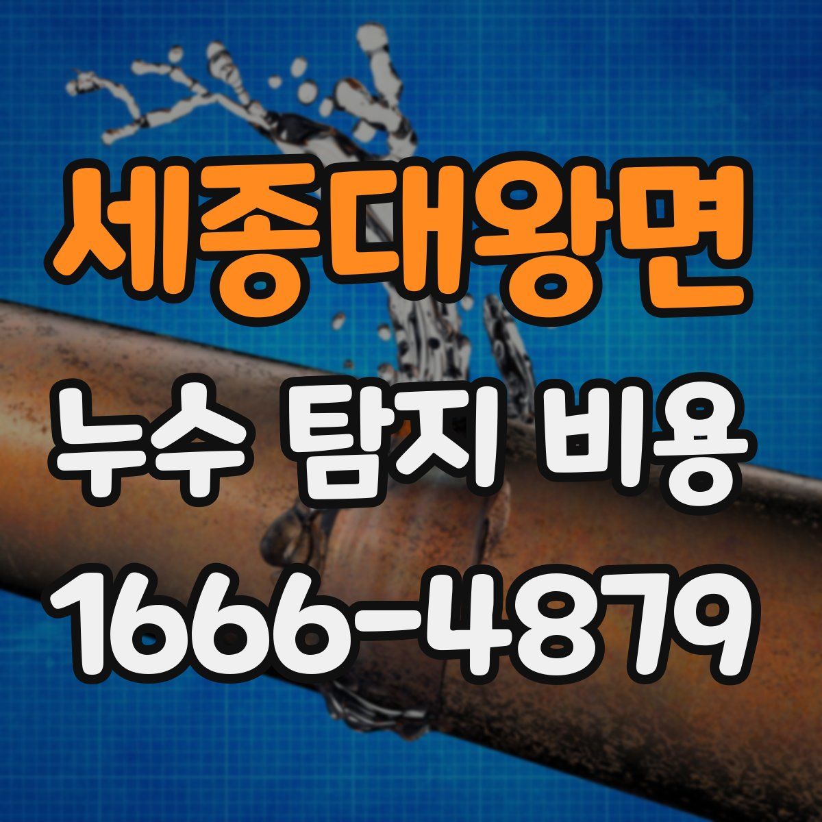 세종대왕면 누수 탐지 비용