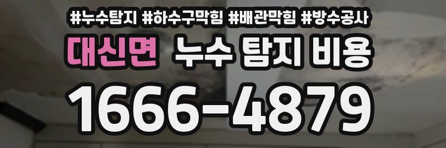 대신면 누수 탐지 비용