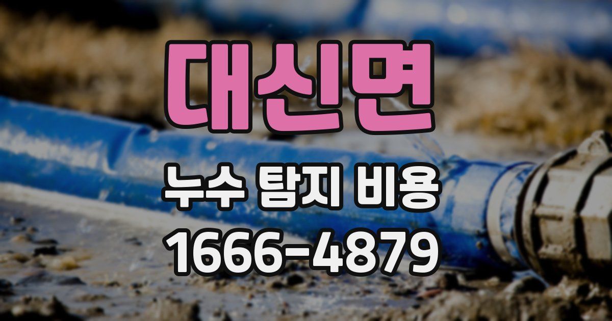 대신면 누수 탐지 비용