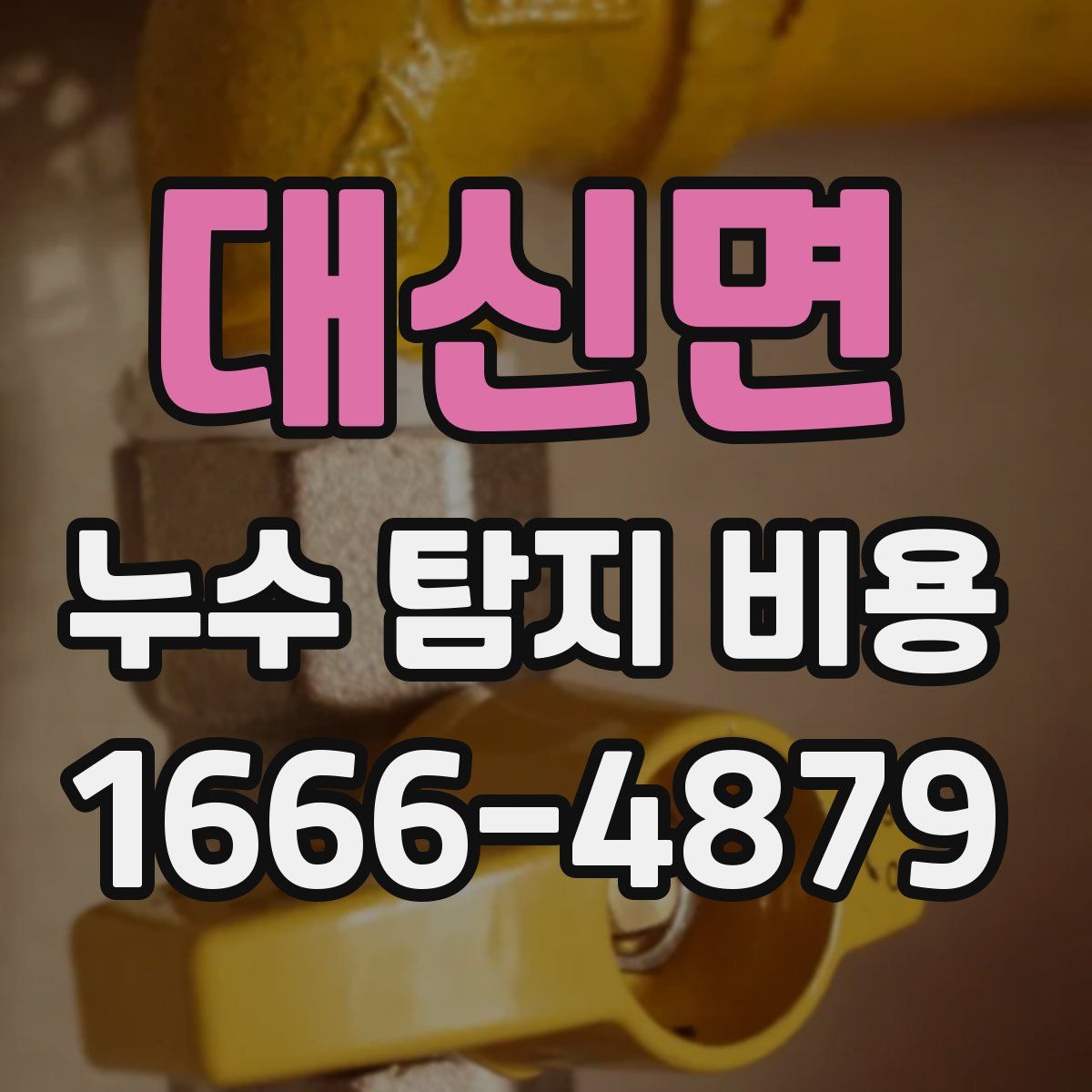 대신면 누수 탐지 비용