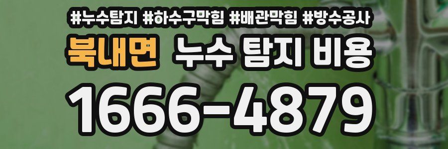 북내면 누수 탐지 비용