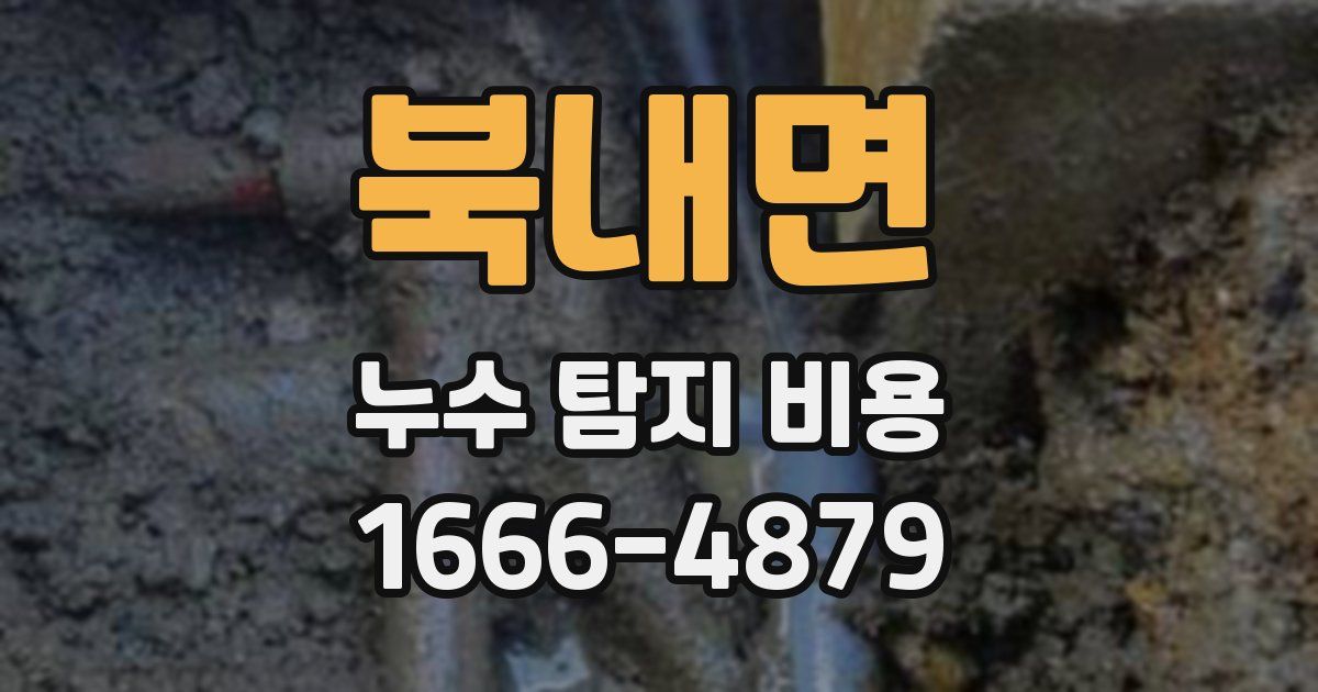 북내면 누수 탐지 비용