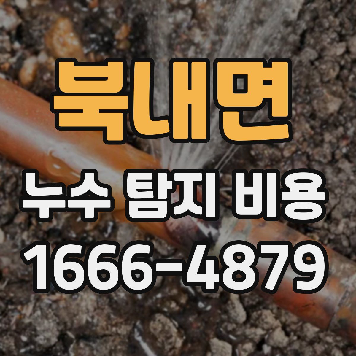 북내면 누수 탐지 비용