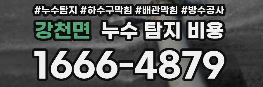 강천면 누수 탐지 비용
