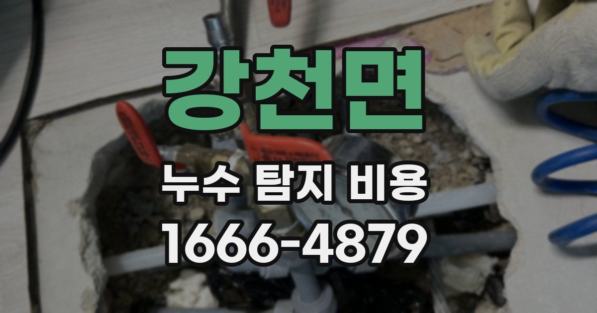 강천면 누수 탐지 비용