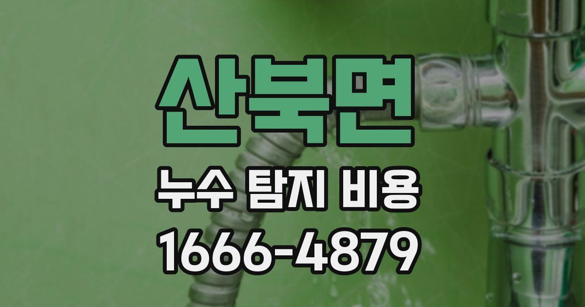 산북면 누수 탐지 비용