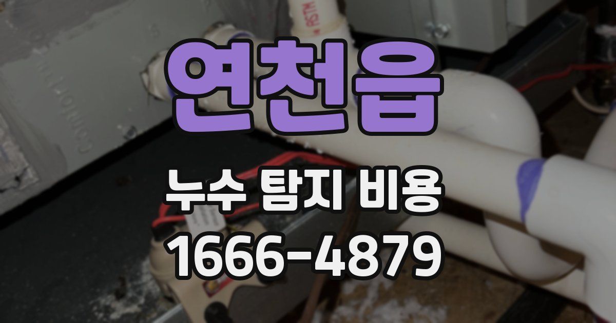 연천읍 누수 탐지 비용