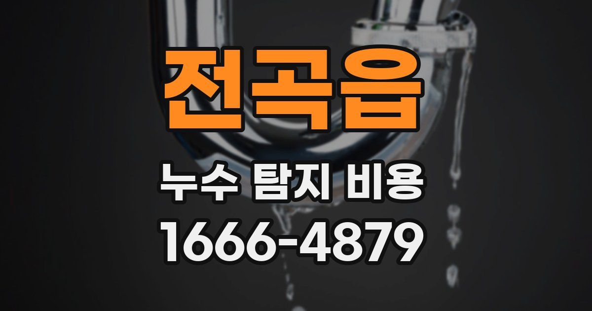 전곡읍 누수 탐지 비용