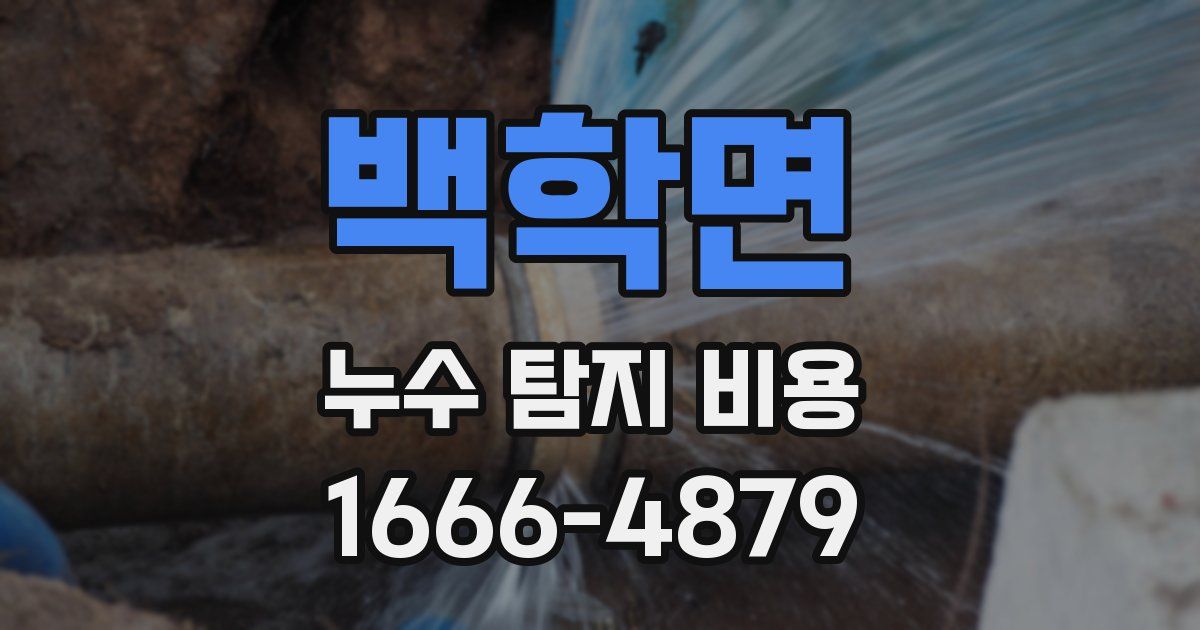 백학면 누수 탐지 비용