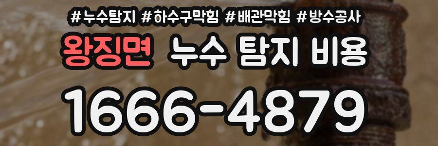 왕징면 누수 탐지 비용