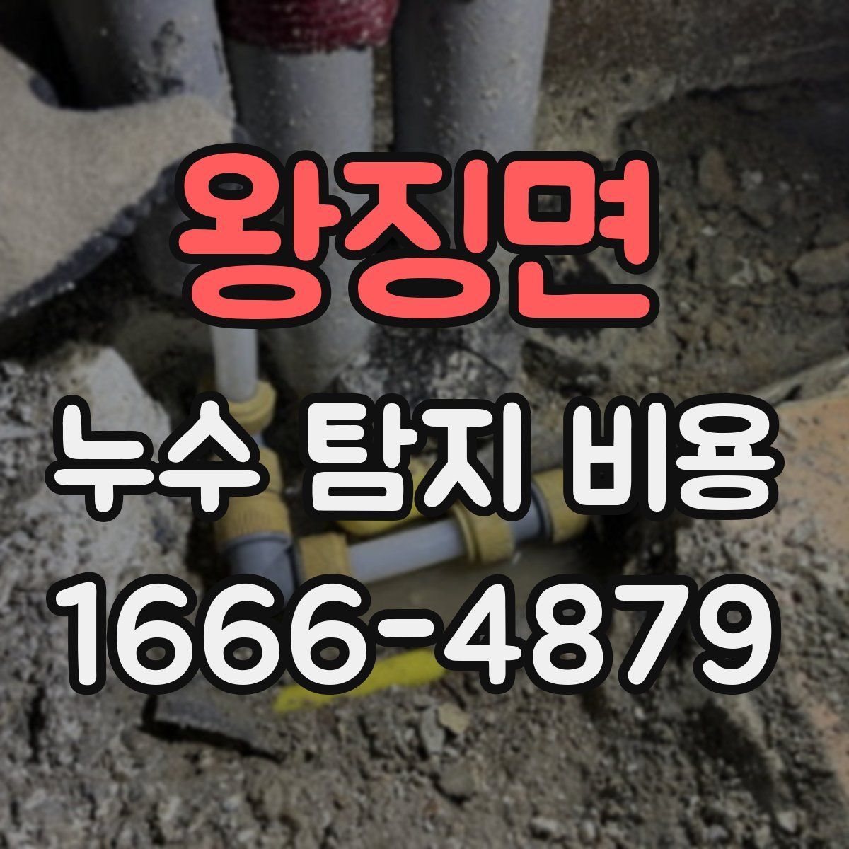 왕징면 누수 탐지 비용