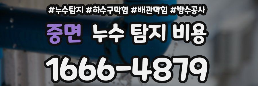 중면 누수 탐지 비용