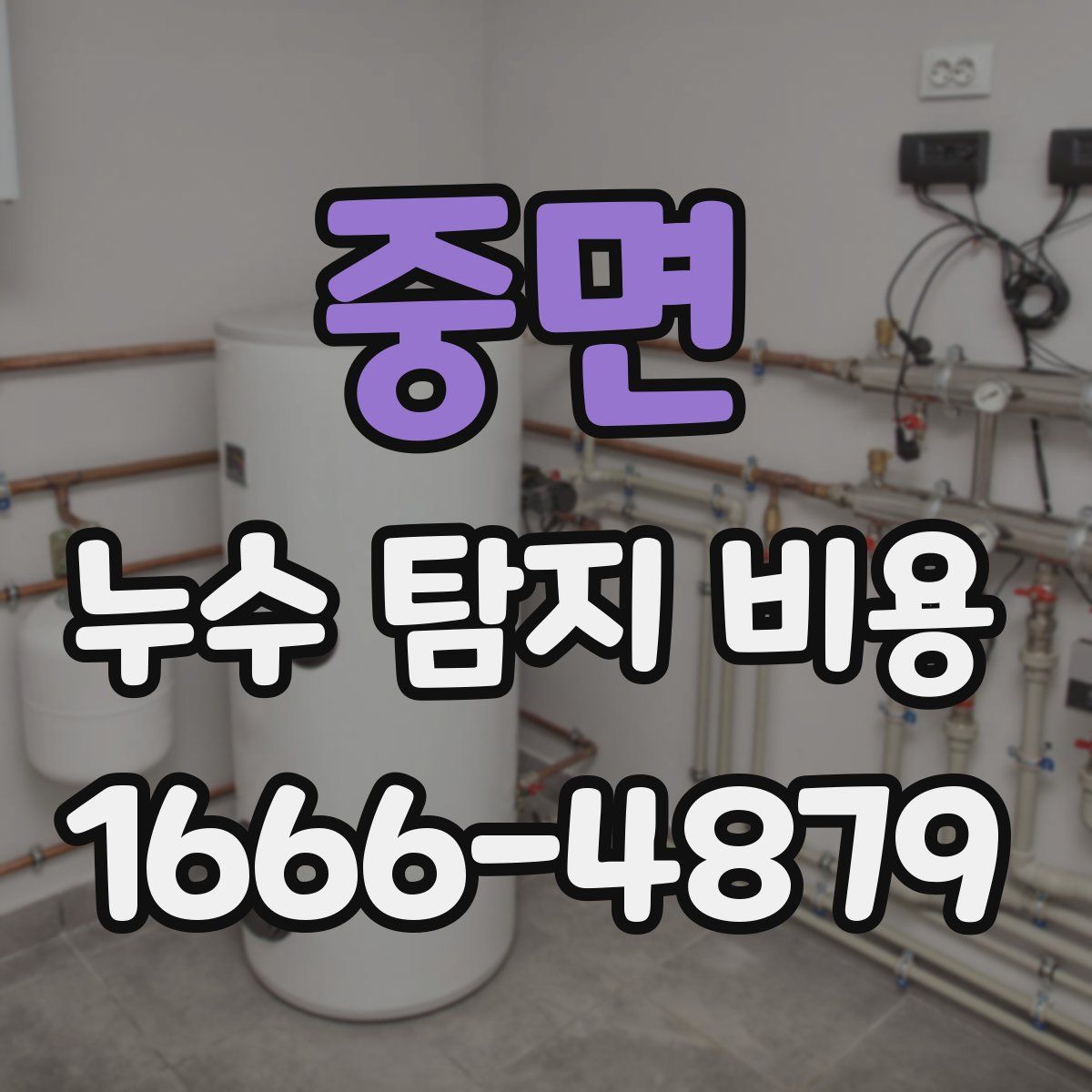 중면 누수 탐지 비용