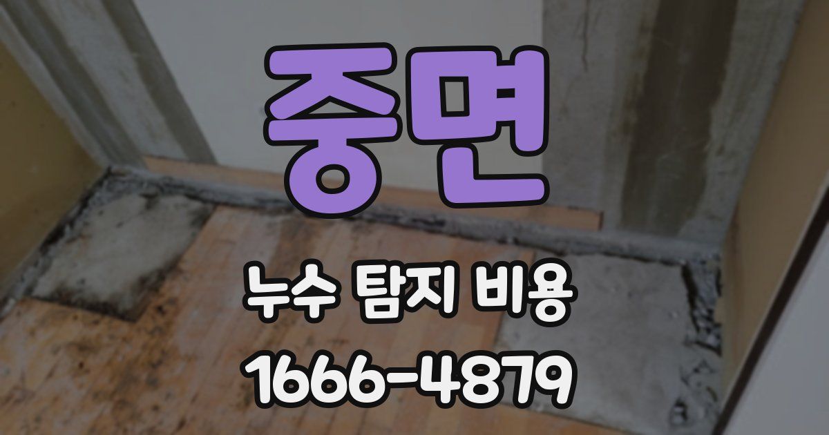 중면 누수 탐지 비용