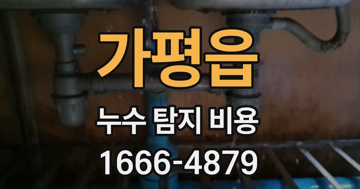 가평읍 누수 탐지 비용