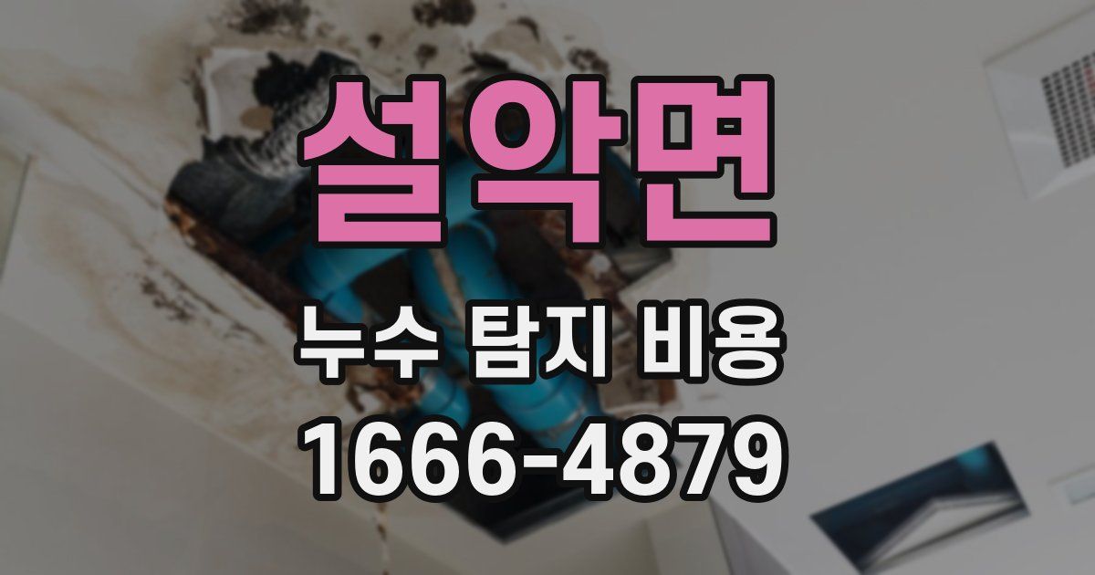 설악면 누수 탐지 비용