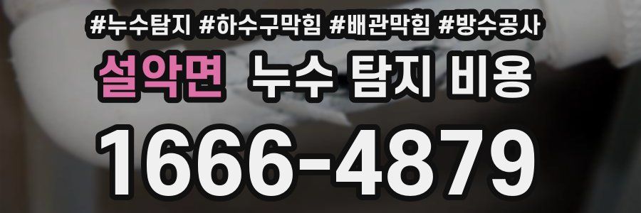 설악면 누수 탐지 비용