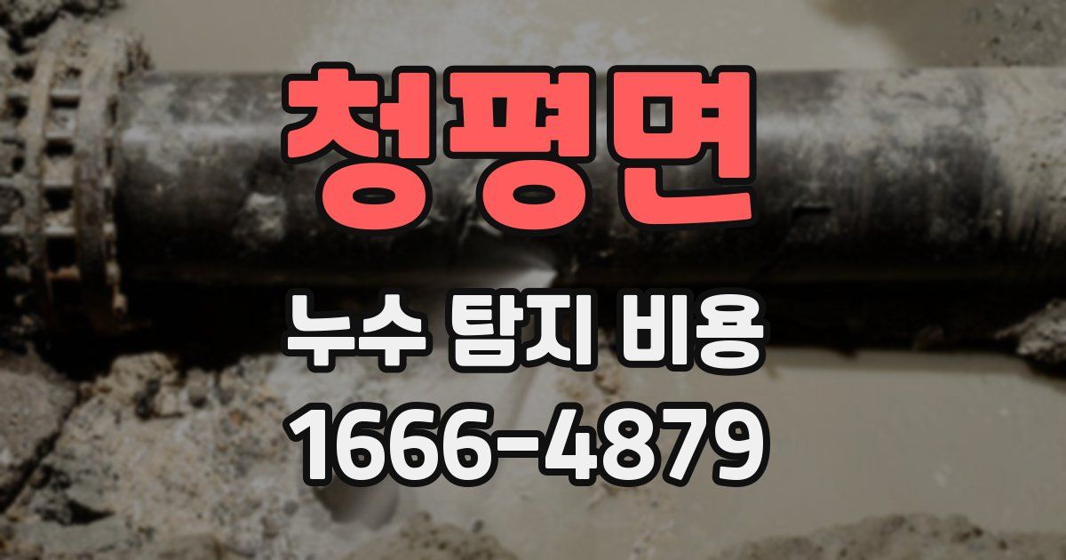 청평면 누수 탐지 비용