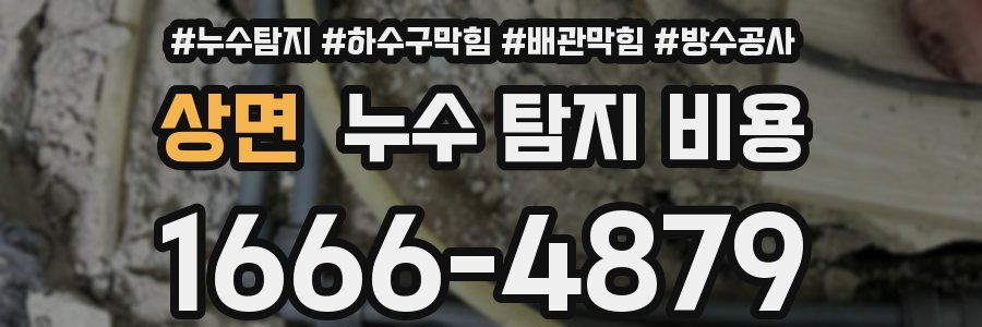 상면 누수 탐지 비용