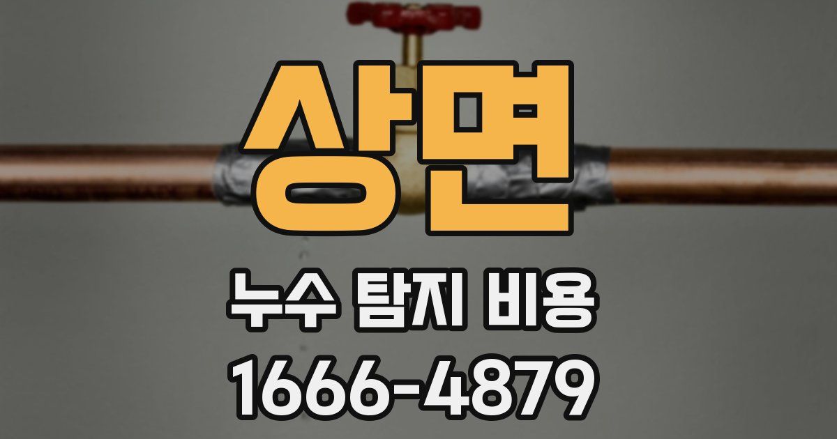 상면 누수 탐지 비용