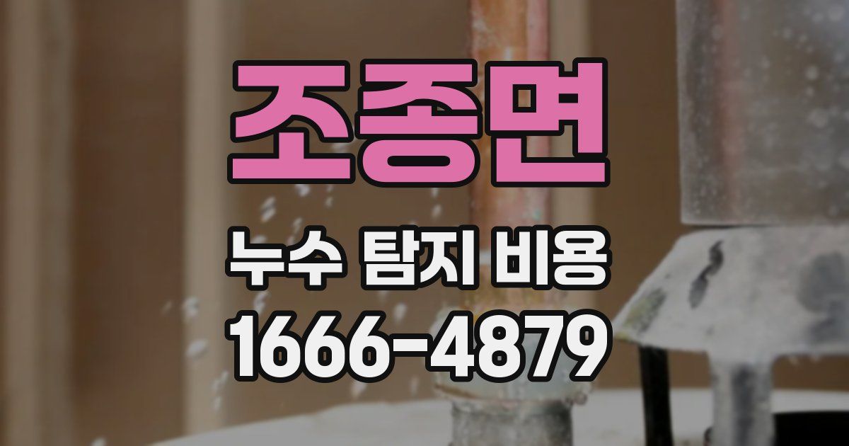 조종면 누수 탐지 비용