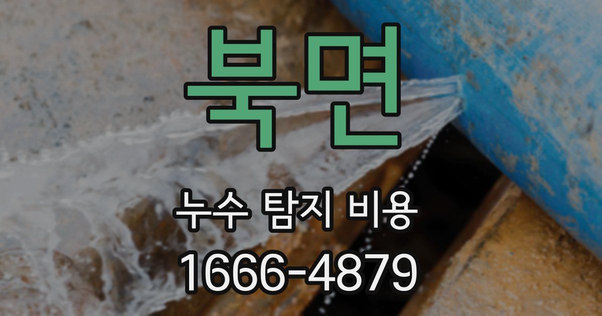 북면 누수 탐지 비용