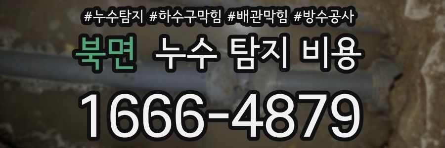북면 누수 탐지 비용