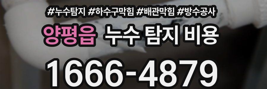 양평읍 누수 탐지 비용