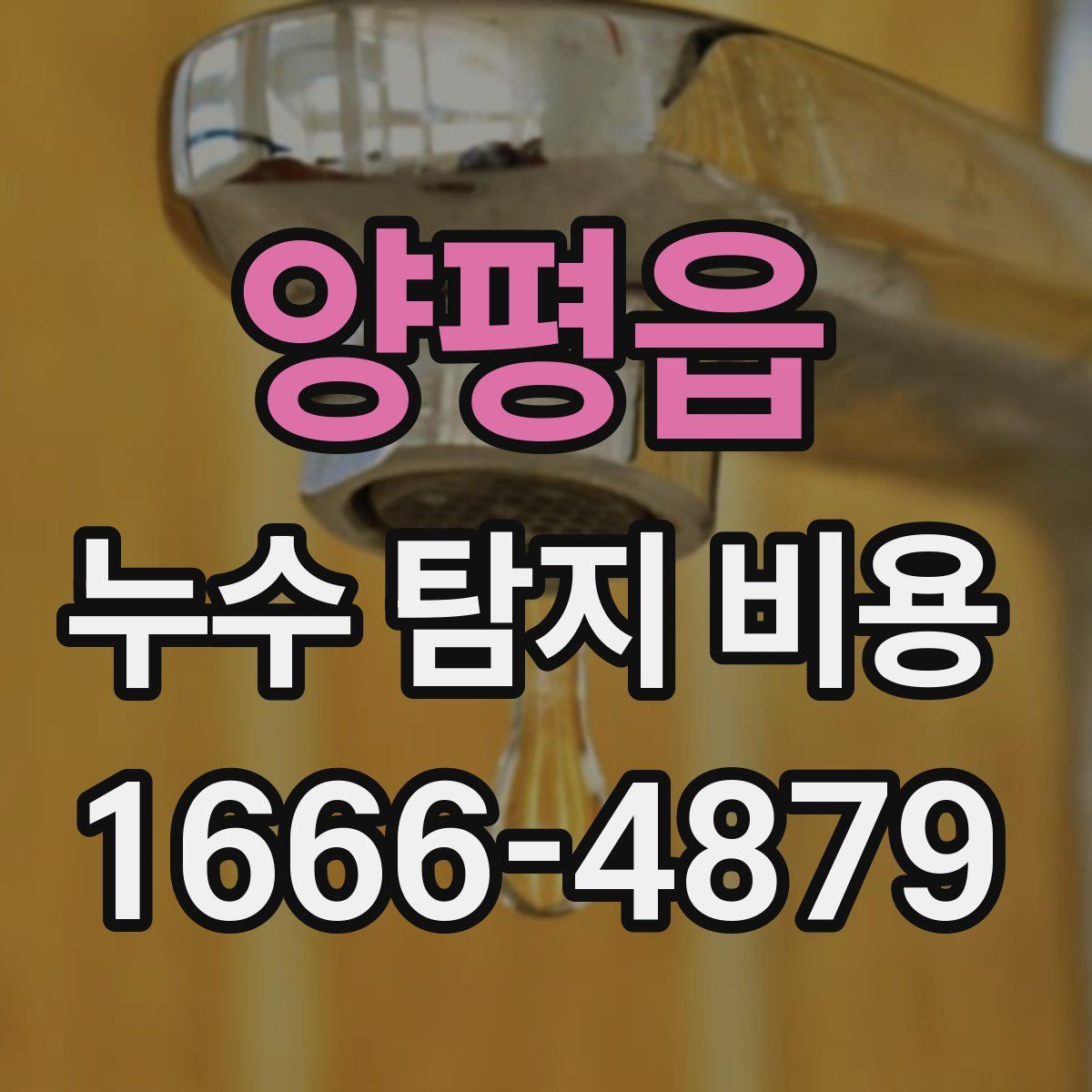 양평읍 누수 탐지 비용