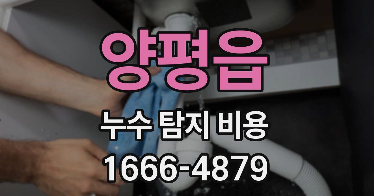 양평읍 누수 탐지 비용