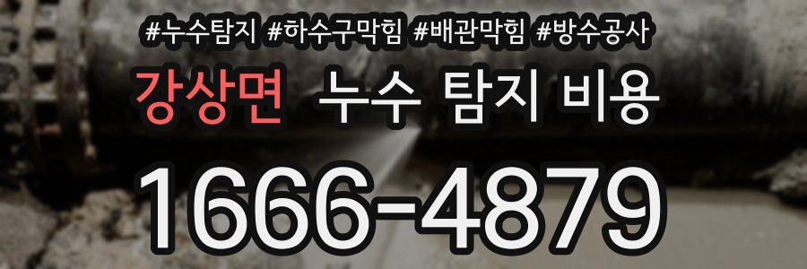 강상면 누수 탐지 비용
