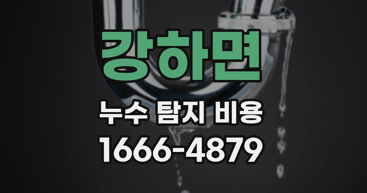 강하면 누수 탐지 비용