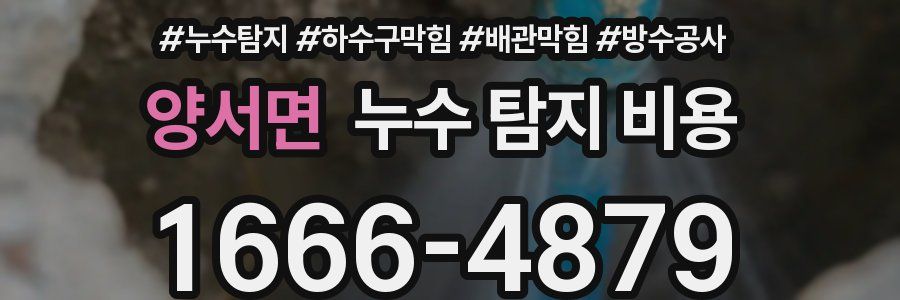 양서면 누수 탐지 비용