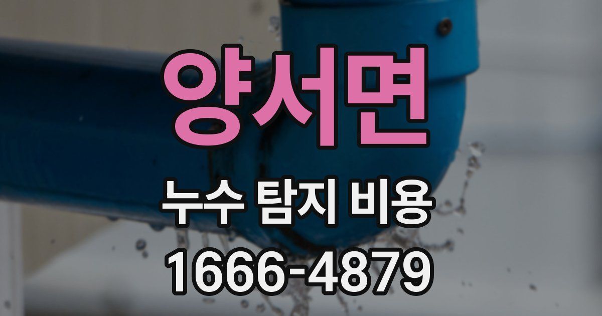 양서면 누수 탐지 비용
