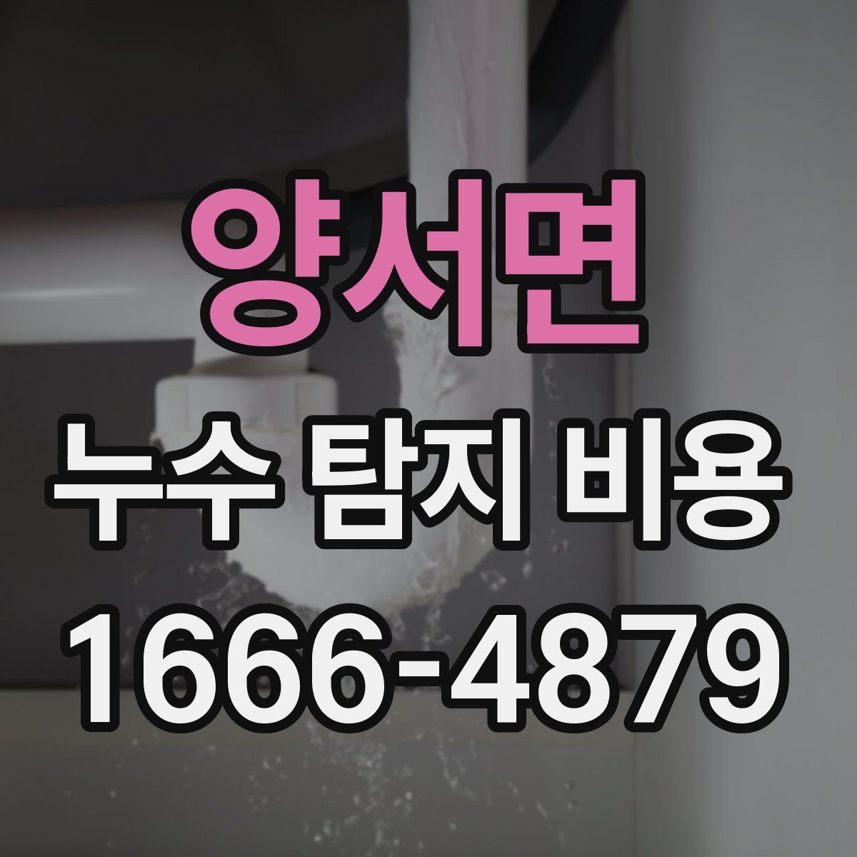 양서면 누수 탐지 비용
